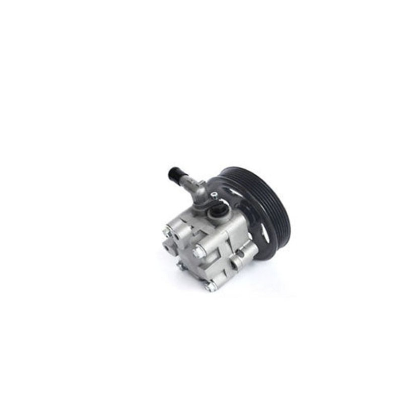 49110-3XN0B power steering vane pump 491103XN0B NISSAN NV350 Caravan