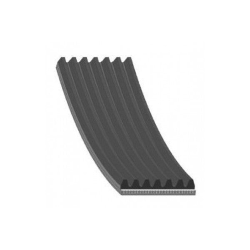 11720-EB70B 7PK1260 V-Ribbed Belts NISSAN NAVARA 11720EB70B